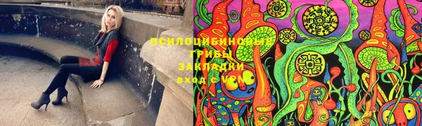 индика Алексеевка