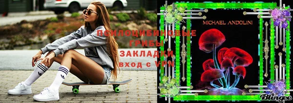 крисы Новый Уренгой