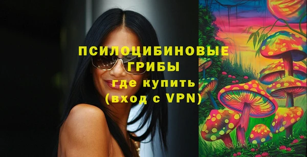 крисы Новый Уренгой