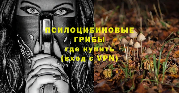 индика Алексеевка