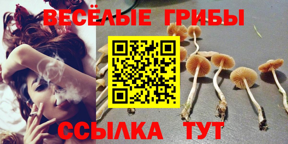 Галлюциногенные грибы прущие грибы Апрелевка