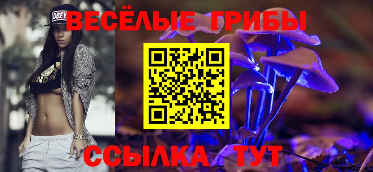 Псилоцибиновые грибы Magic Shrooms  купить наркотики сайты  Апрелевка 